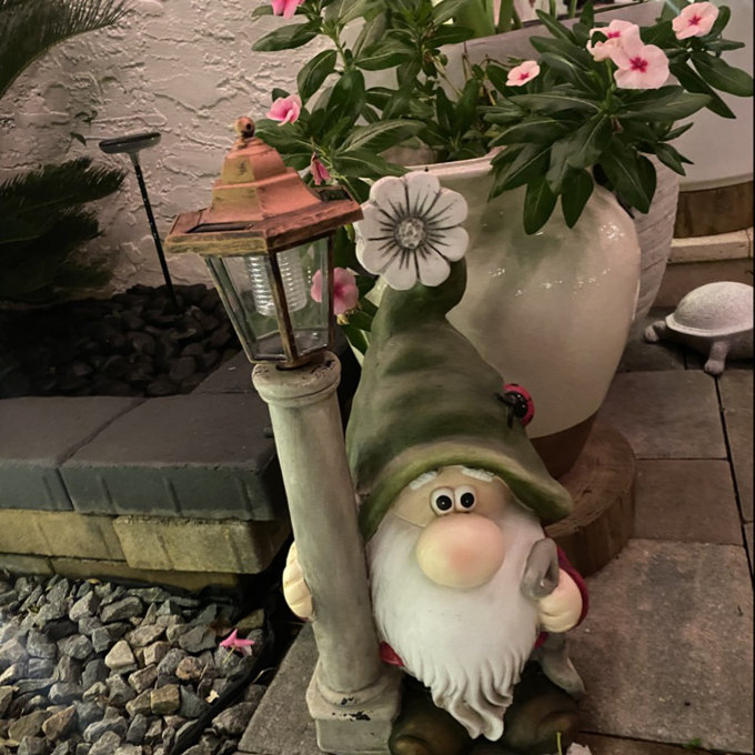 Trinx 2 Piece Garden Gnomes with Solar Lights Shortstack and